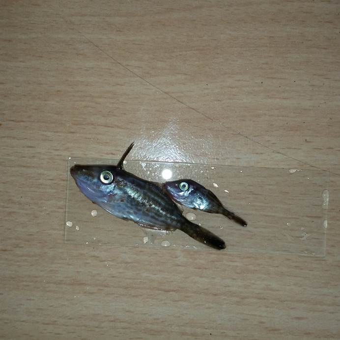 image006.jpg image006.jpg