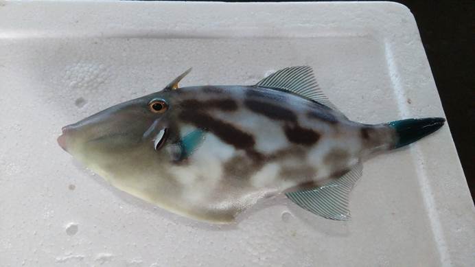 image004.jpg image004.jpg