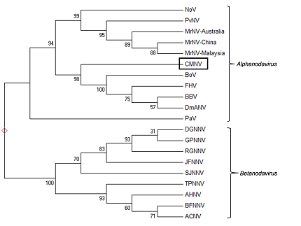 2014121603.png 2014121603.png