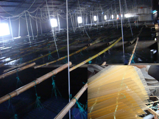 image002.png image002.png