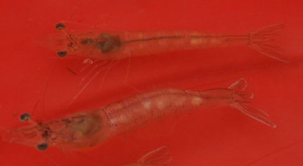 2014121601.jpg 2014121601.jpg