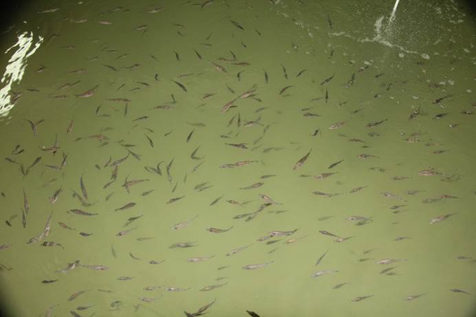 image008.jpg image008.jpg