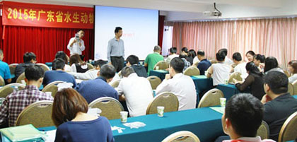 huangjiegd.jpg huangjiegd.jpg