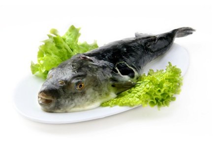 xpzxjs-25-4.jpg xpzxjs-25-4.jpg