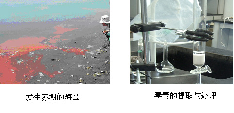 xpzxjs-24.jpg xpzxjs-24.jpg