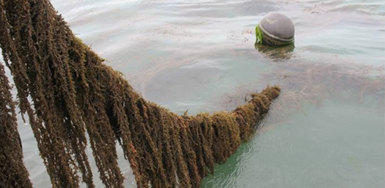 xpzxjs-18-3.jpg xpzxjs-18-3.jpg