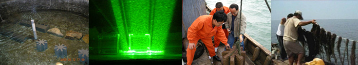 xpzxjs-16-2.jpg xpzxjs-16-2.jpg