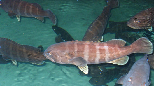 xpzxjs-12-1.jpg xpzxjs-12-1.jpg