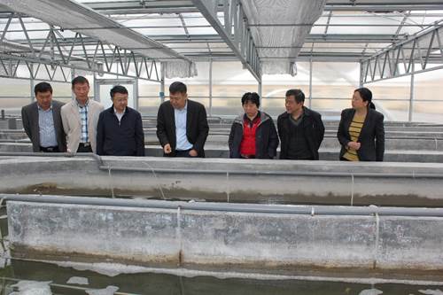 duixialiangzhong2.jpg duixialiangzhong2.jpg