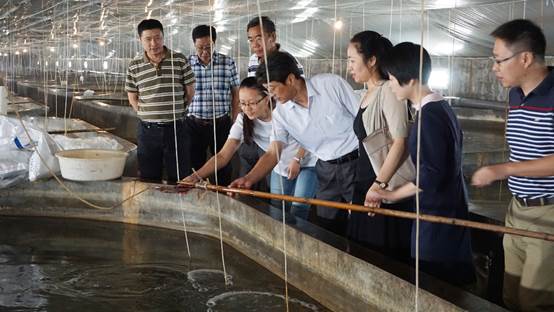 maihujun2.jpg maihujun2.jpg