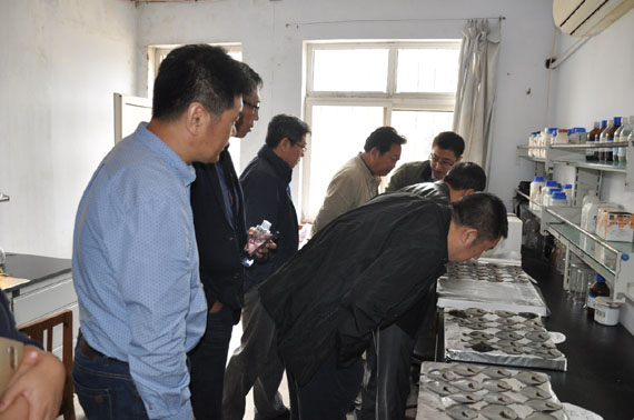 quancimiaozhong2.jpg quancimiaozhong2.jpg