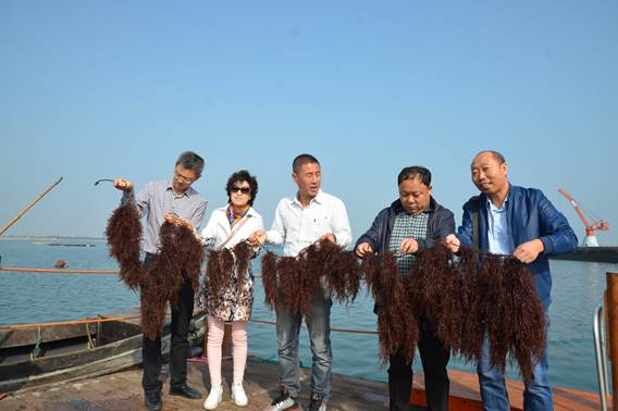 cuijiangli1.jpg cuijiangli1.jpg