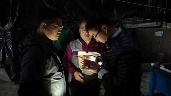 image003.jpg image003.jpg